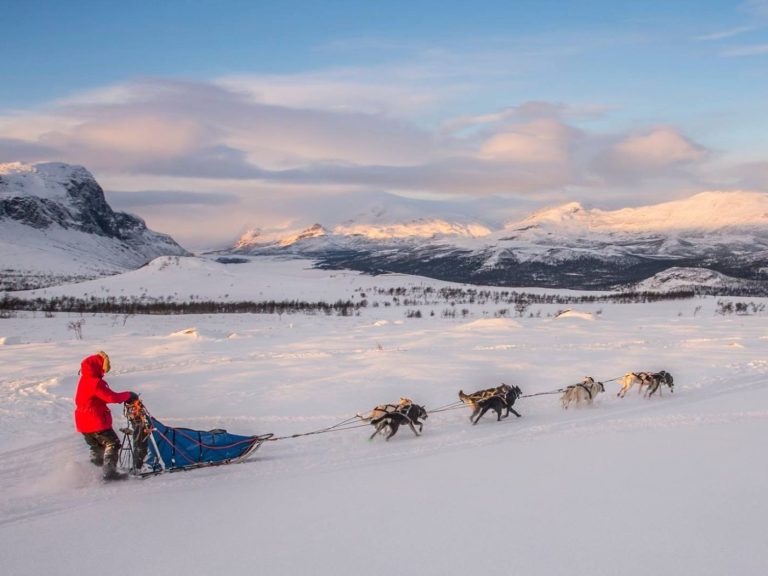 ©fotomicke-Michael Törnkvist